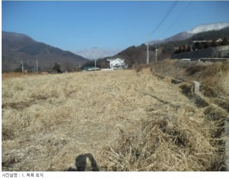 사진 3