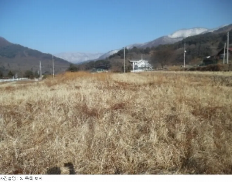 사진 5