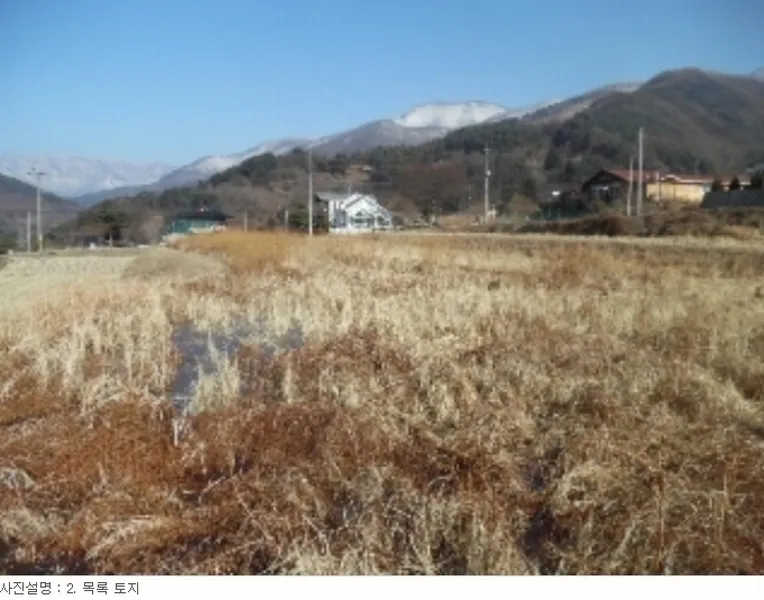 사진 6