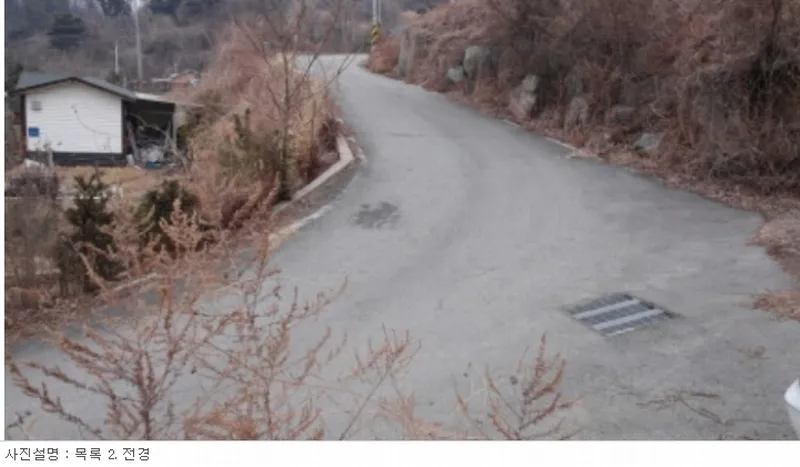 사진 12