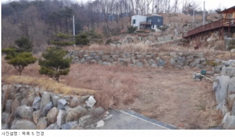 사진 15