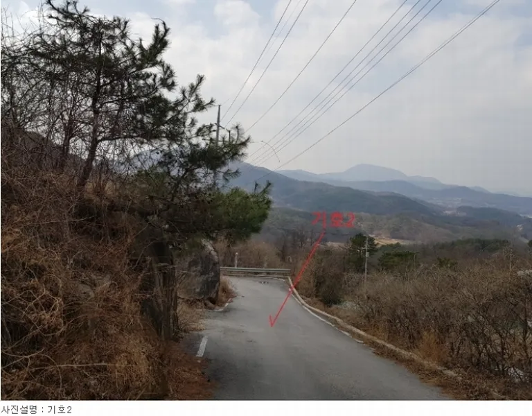사진 2