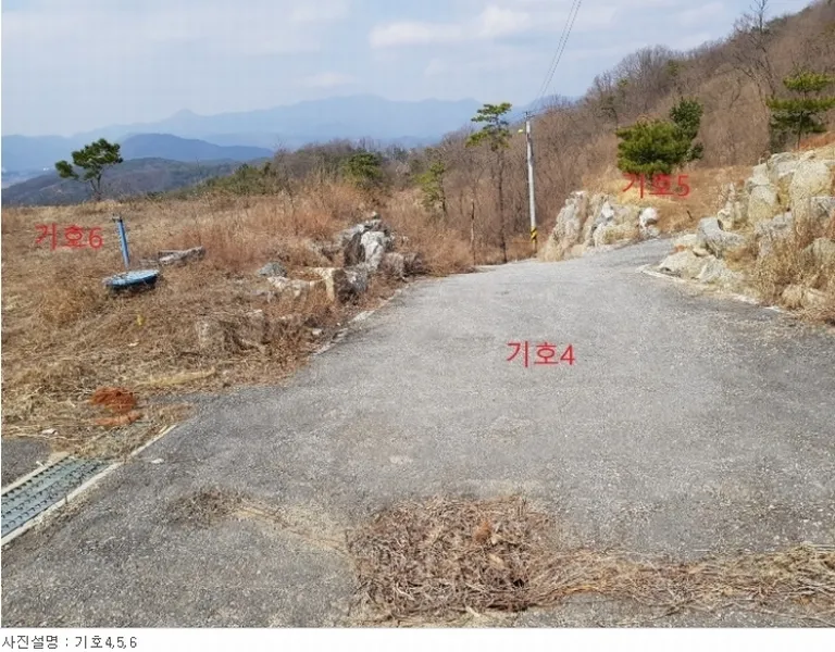 사진 5