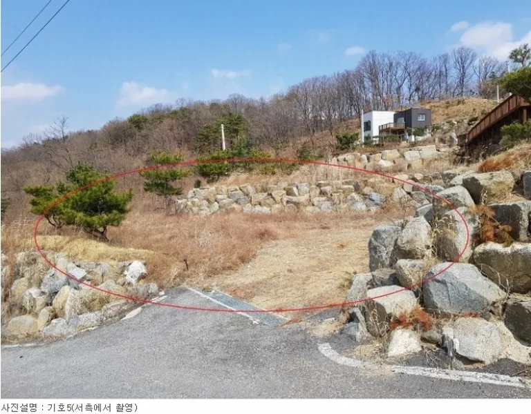 사진 7