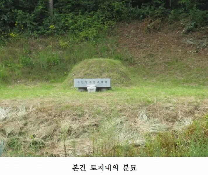 사진 3