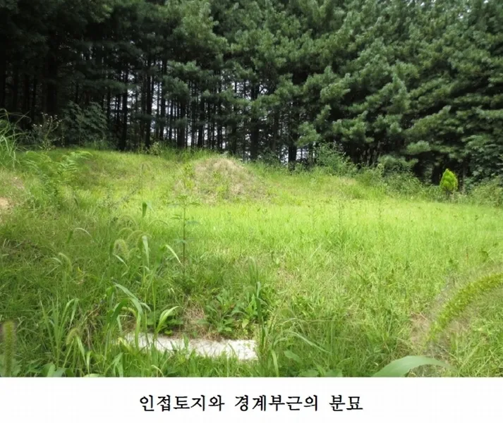 사진 4