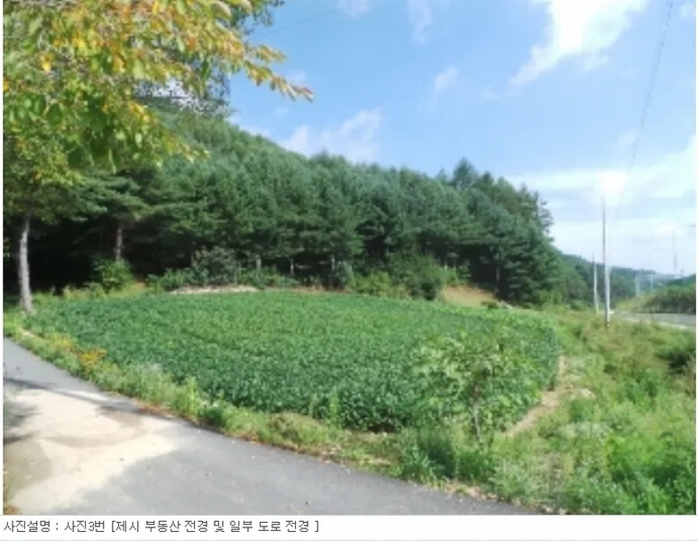 사진 7
