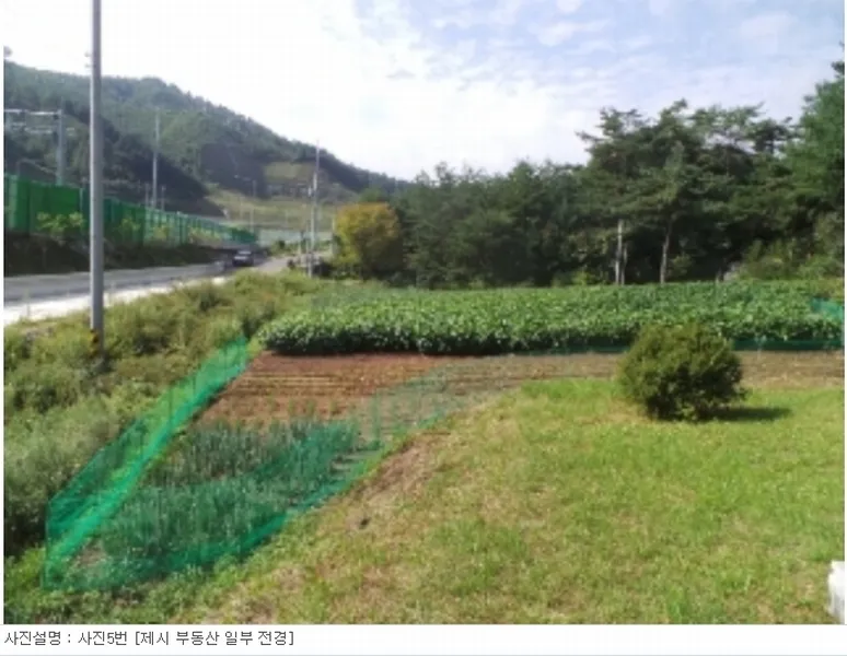 사진 9