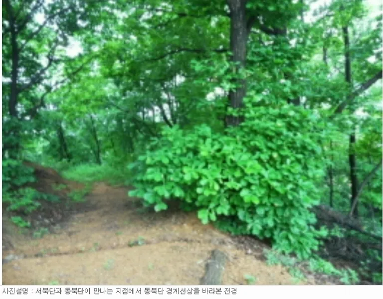 사진 14