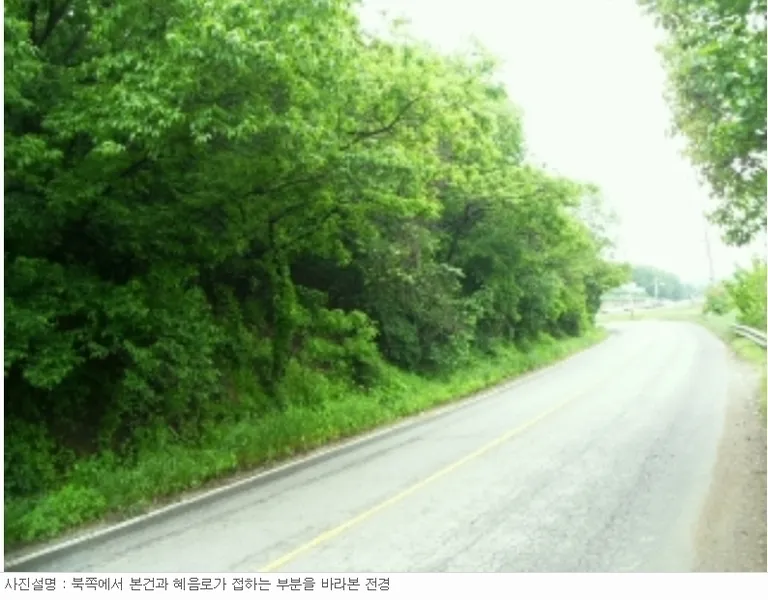 사진 21