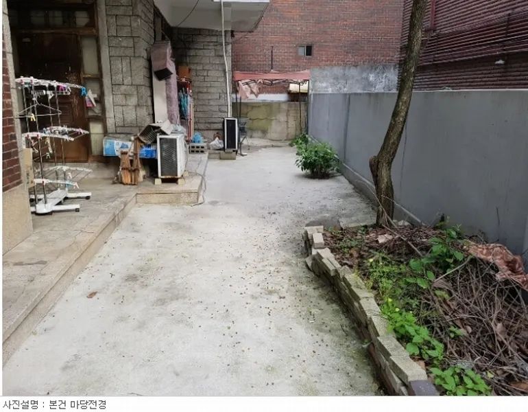 사진 10