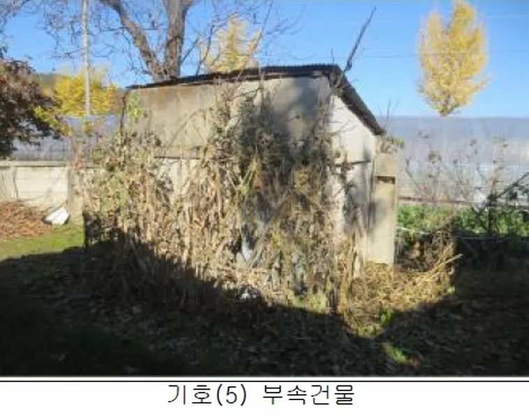 사진 5