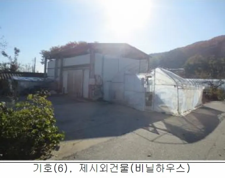 사진 7