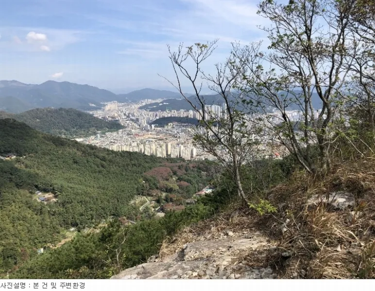 사진 3