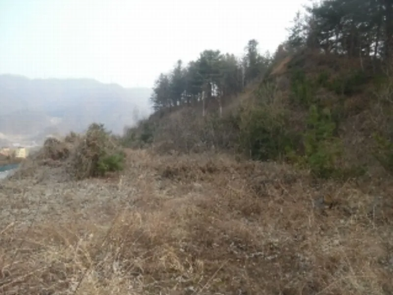 사진 7