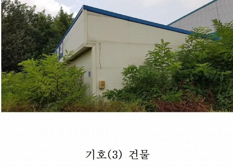 사진 3