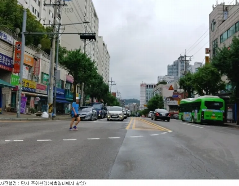 사진 5