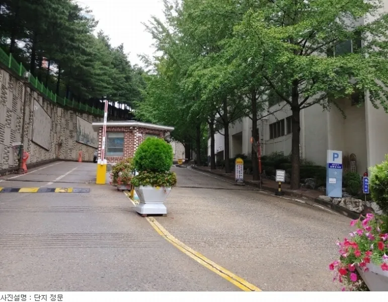 사진 6