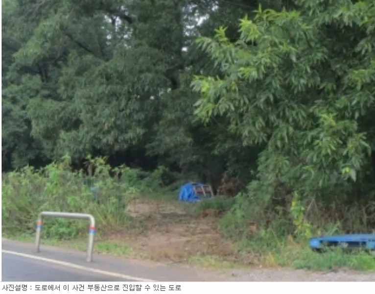 사진 10