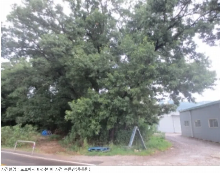 사진 9