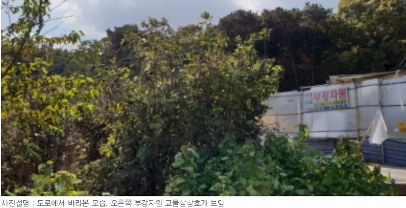 사진 11