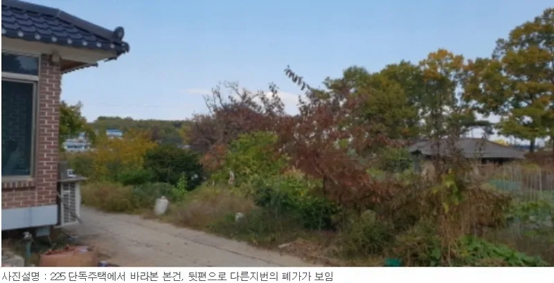 사진 12