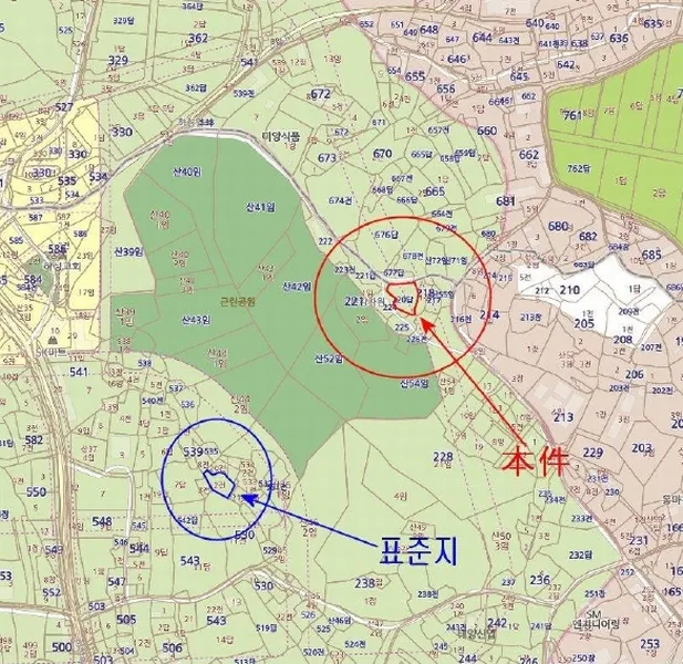 사진 13
