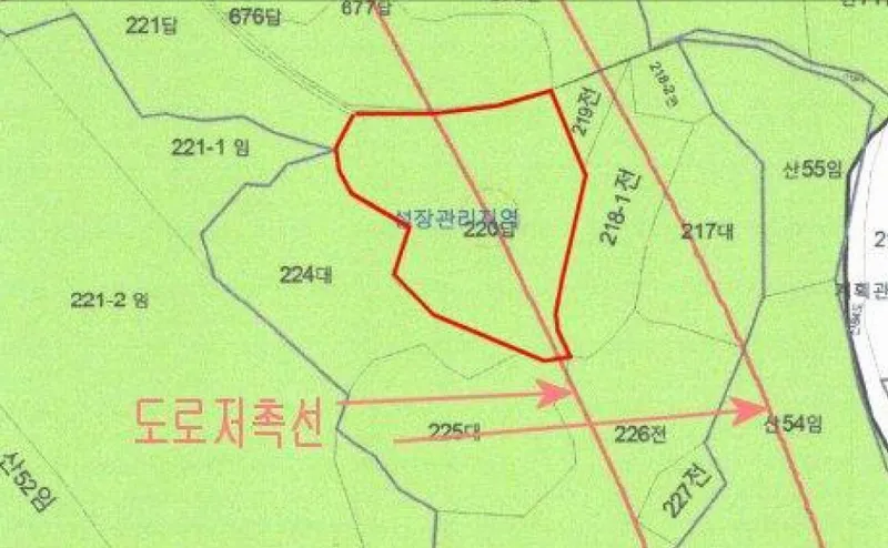 사진 14