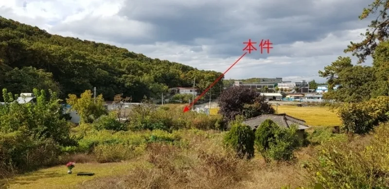 사진 2