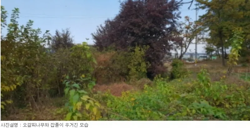 사진 5