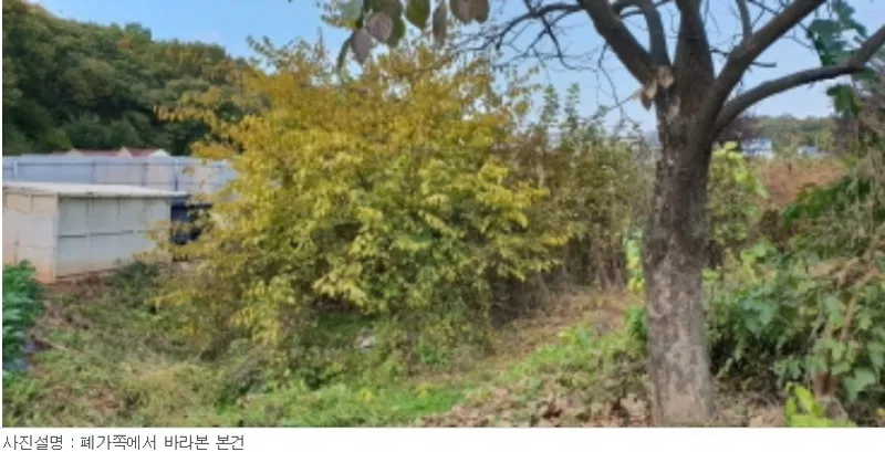 사진 7