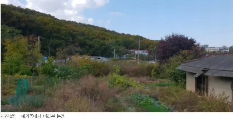 사진 8