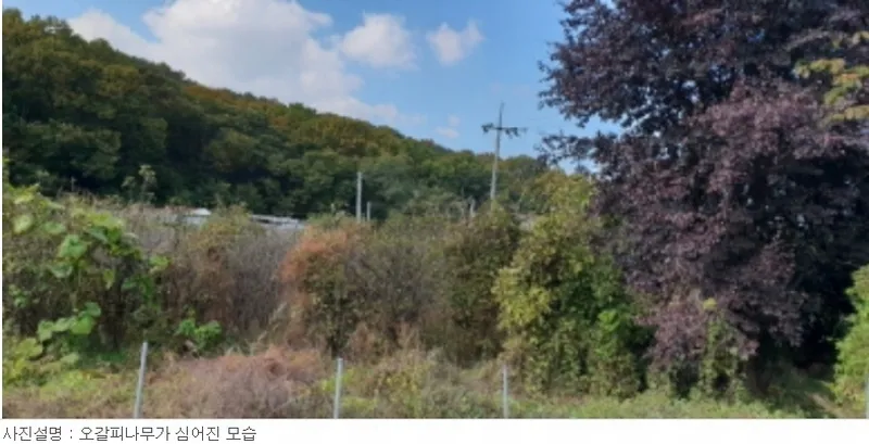 사진 9