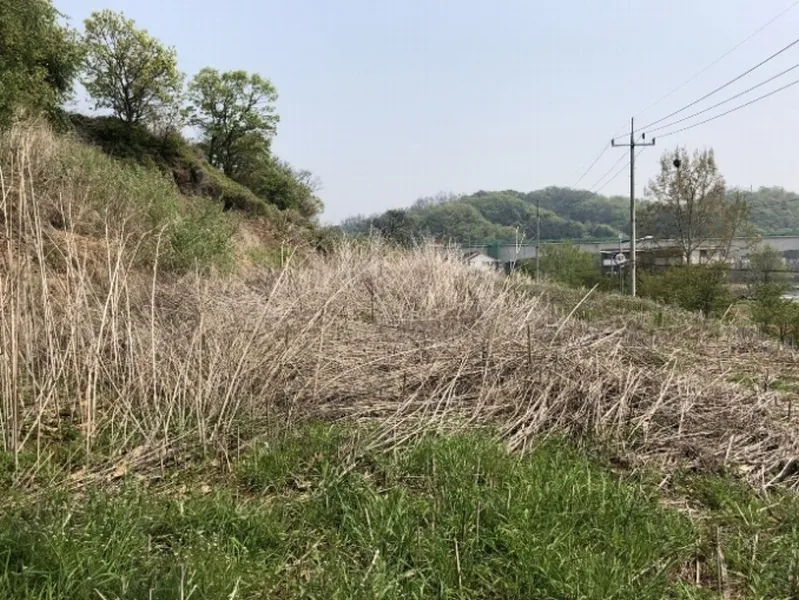 사진 2