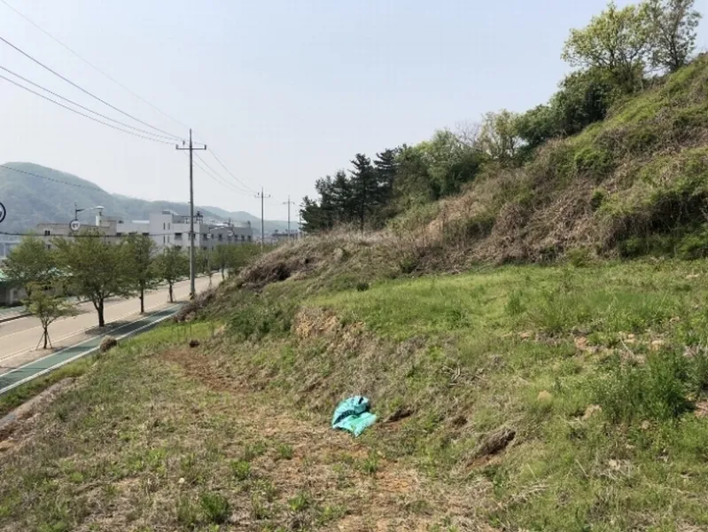 사진 3