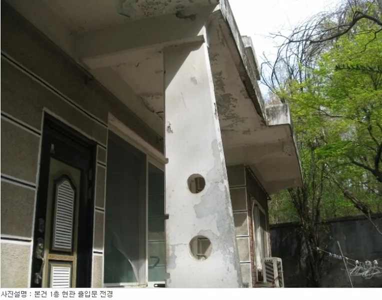 사진 6
