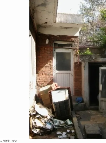 사진 9
