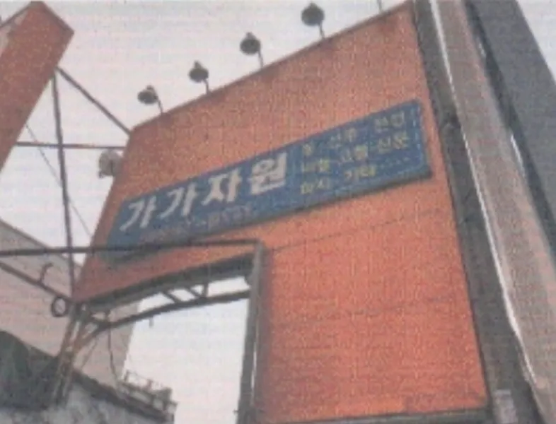 사진 5