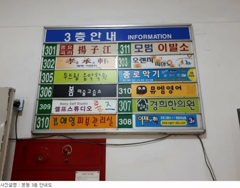 사진 5
