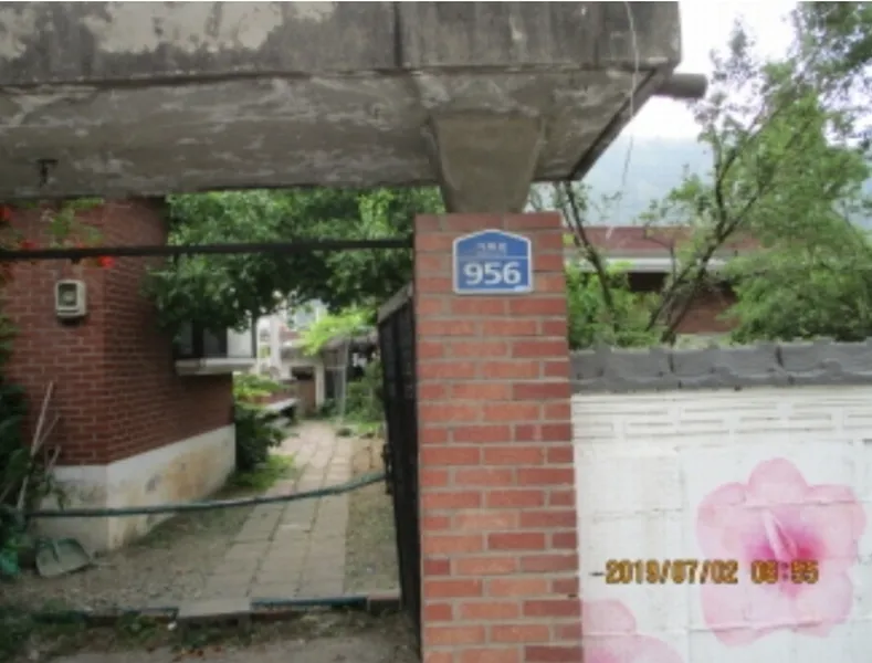 사진 11