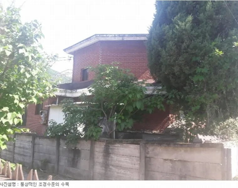 사진 12