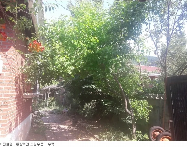 사진 13