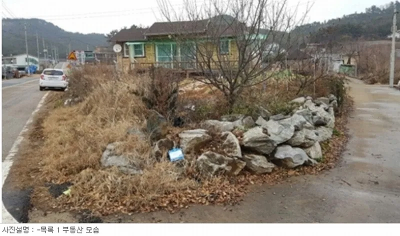 사진 4