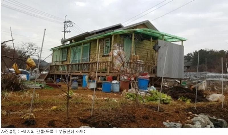 사진 5