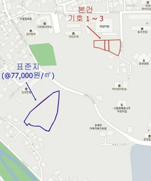 사진 7