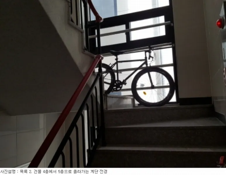 사진 35