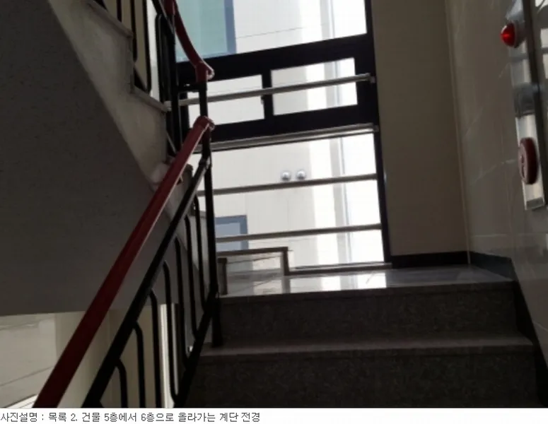 사진 41