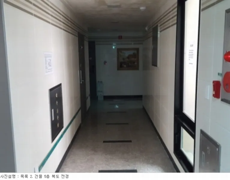 사진 48