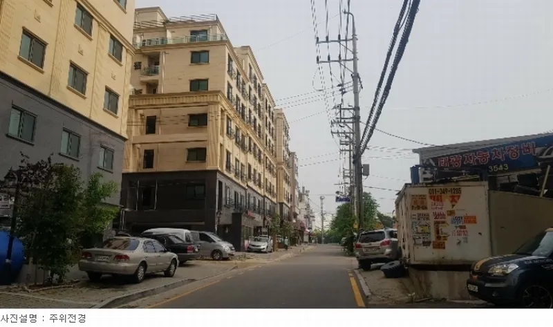 사진 5
