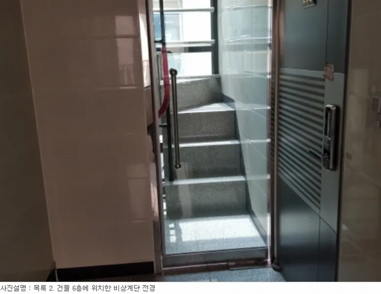 사진 41